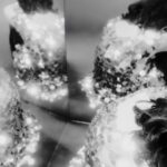 Creative Direction and Photography @macami__
Producer @tristanjcharles
Styling @joelymalcolm
Hair @georgie_allthingshair
Makeup  @laurendrazenovic
Digi @ren_fler 
Photo Assist @ainas.album

Wearing @rabanne @kazmexico